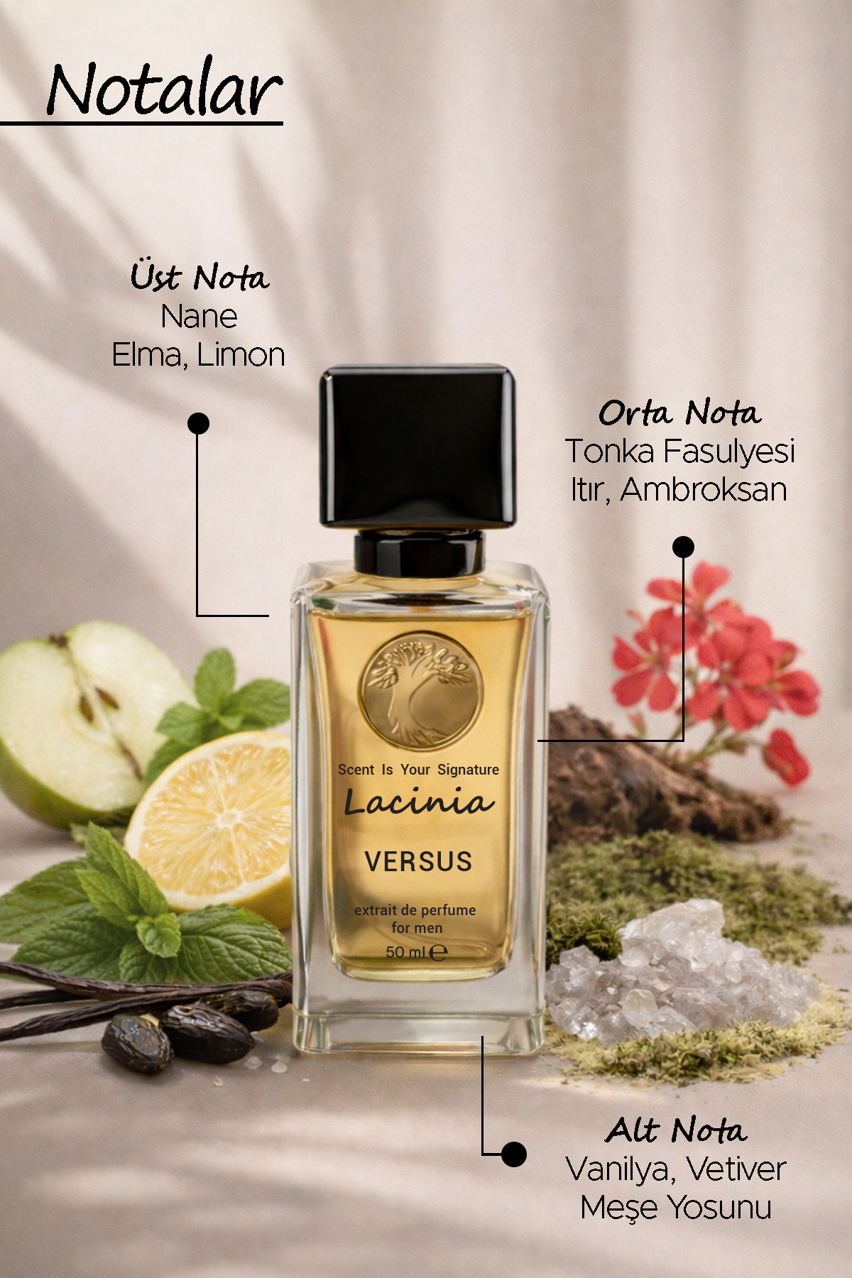 VERSUS PARFUME FOR MEN thumbnail