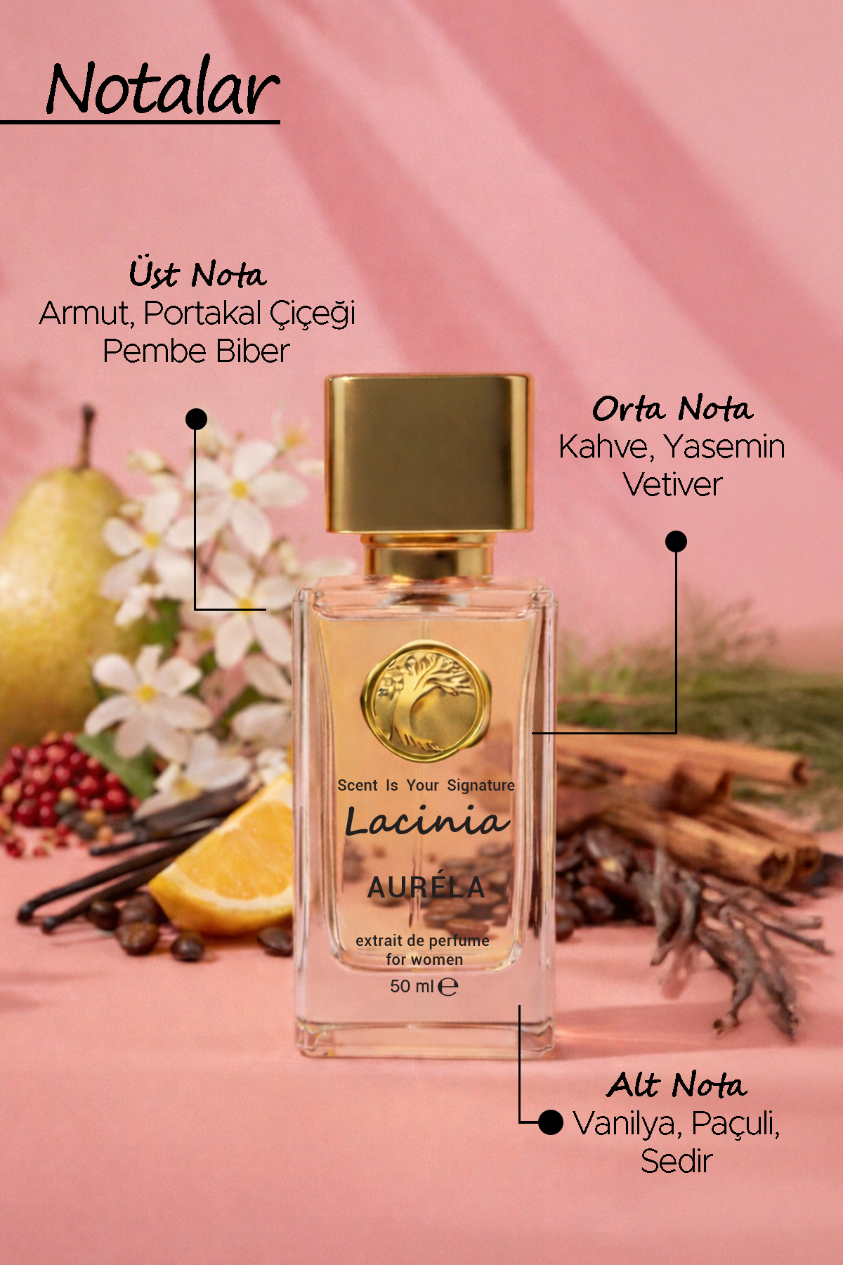 AURELA PARFUME FOR WOMEN thumbnail